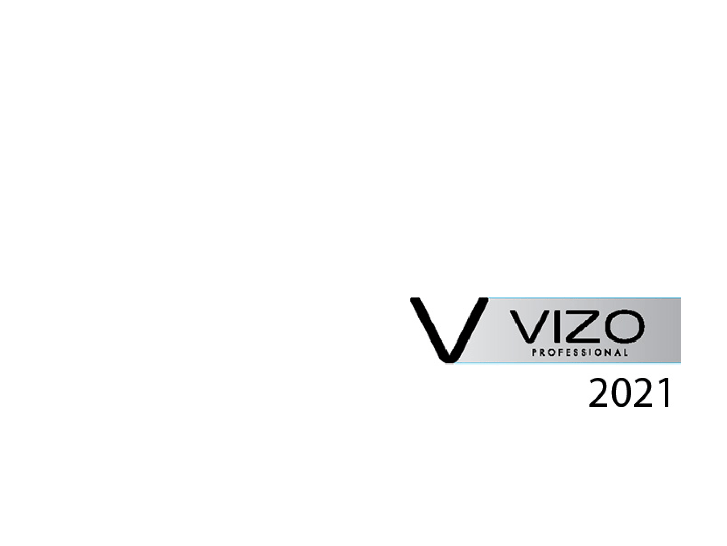 VIZO General Catalog 2021